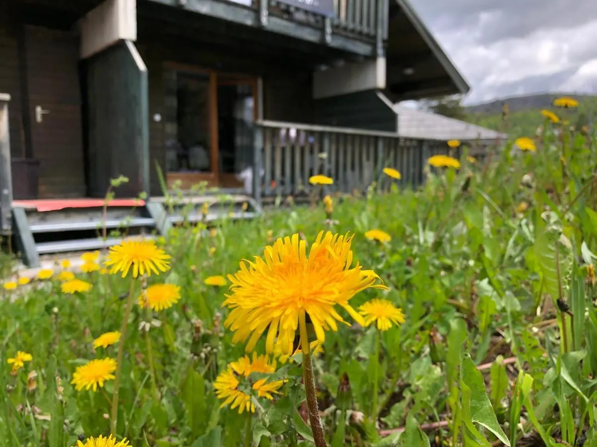 Le Chalet D'Aurouze 103, Appartement 6 Personnes - La Joue Du Loup 0*,  France